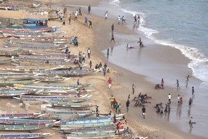 Les côtes Mauritaniennes: La Mer en danger