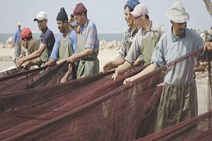 L’accord de pêche UE-Maroc « n’est pas applicable au Sahara occidental » 