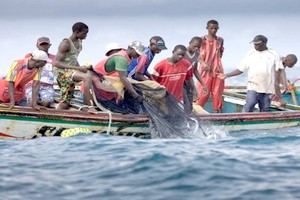 4 pays africains vont signer la Charte internationale sur la pêche