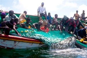 Saint-Louis : les 8 jeunes pêcheurs retenus en Mauritanie bientôt libérés (ministre) 