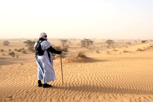Tourisme en Mauritanie, marcher dans le désert sur la piste des étoiles	