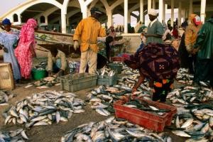 Nouveaux investissements dans le marché aux poissons de Nouakchott