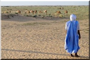 La Mauritanie baisse le prix des visas