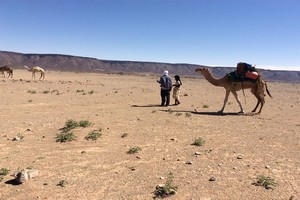Tourisme : Rencontre avec le vrai désert entre tourine dans le Tiris Zemmour et El Ghallaouiya