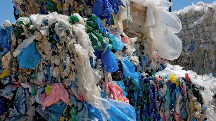 Interdiction du sachet plastique : la persistance de la vente cache-t-elle un négoce protégé?