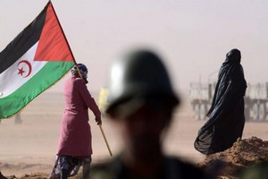 Sahara Occidental : Le Polisario menace de reprendre les armes