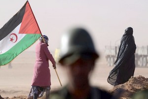 #FrenchArms : des armes françaises au Sahara Occidental