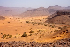 Mauritanie : le retour des treks sahariens cet hiver