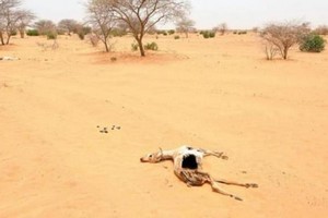 Sahel: l'UE mobilise plus de 152 millions d'euros d'aide pour la région