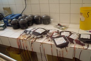 [PhotoReportage] Les employés du CNC donnent de leur sang pour permettre d’opérer les malades
