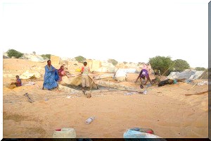 Zone de Sbéikha de Toujounine : Après le passage du Hakem, la désolation s’installe !