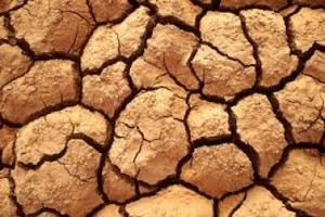 L'Allemagne prend en charge les primes pour l'assurance sécheresse de l'African Risk Capacity