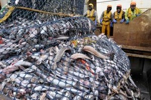  Des pays d’Afrique de l’Ouest décident de créer une commission unifiée de négociation des accords de pêche