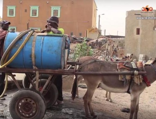 Nouakchott: Soif sans fin à Riad