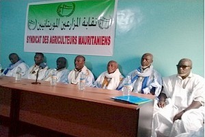 Mauritanie : le syndicat des agriculteurs peint un tableau noir de la situation agricole du pays