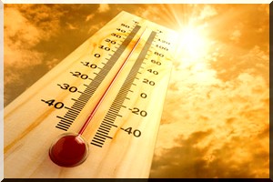 Canicule en hausse dans le pays: Mieux vaut prévenir que guérir !