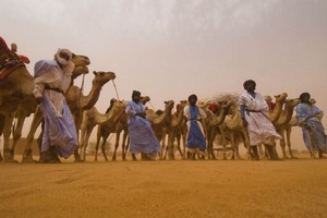 Mauritanie : plusieurs TO français de retour pour 