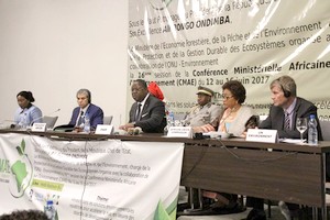 Le Ministre de l’Environnement participe aux travaux de la 16ème session de la Conférence Ministérielle Africaine sur l’Environnement (CMAE)