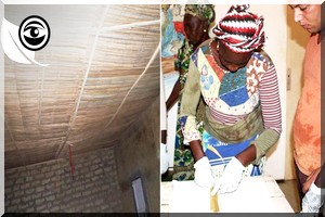 Sénégal-Mauritanie: Papyrus ou faux plafond, quand une plante nuisible offre ses atouts 