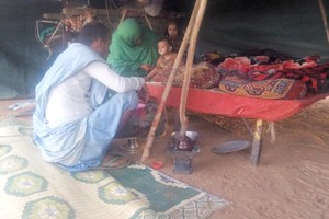 Les pasteurs nomades, les ultimes gardiens de l’élevage mauritanien menacés de disparition