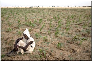 Les villageois sans terre de Mauritanie, obligés d’aller enterrer leurs morts au Sénégal 