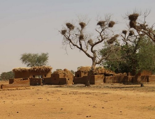 Mali: HRW dénonce les massacres commis par les jihadistes du Jnim et des chasseurs dozos dans un rapport