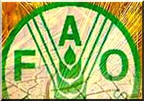 350 mille dollars d’appui de la FAO à la Mauritanie pour alléger les effets de la sécheresse