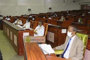 Mauritanie: les députés adoptent une loi contre la diffusion des informations fausses sur les réseaux sociaux