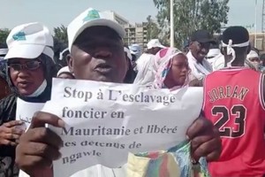 Remous fonciers en Mauritanie : les bords du fleuve en terres troubles de Trarza à Brakna