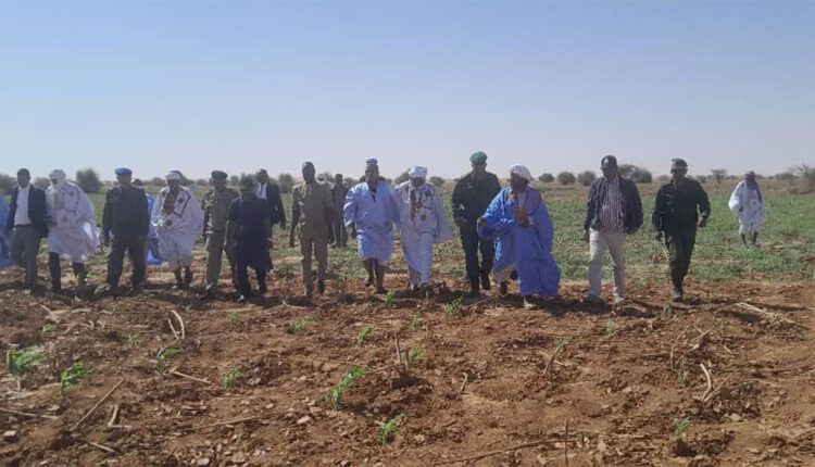 Le wali de l’Inchiri visites des zones agricole dans la commune d’Akjoujt