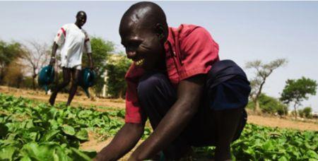 Mauritanie : une université américaine ouvrira des formations dans le domaine agricole 