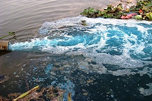 Contribution d'un citoyen lambda sur les eaux usées déversées à El Mina