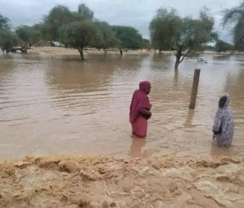 Mauritanie : noyade mortelle d'une personne et plus de 400 moutons meurent noyés dans les deux Hodh