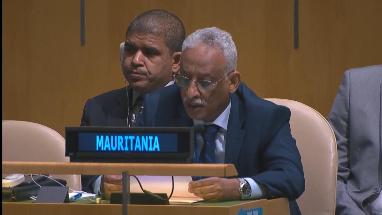 ONU : la Mauritanie fait le point sur ses efforts de lutte contre la haine