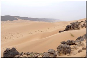 Tourisme : Les bienfaits de la Randonnée Chamelière dans l’Adrar Mauritanien /Par Monique Guerra