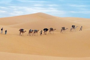 Mauritanie: espoir de reprise des activités touristiques
