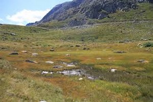 Criminalité : Une affaire floue derrière un meurtre à El Joumlaniya