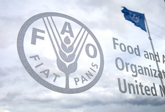 Communiqué de Presse FAO : Evaluation des systèmes alimentaires vers la réalisation des ODD