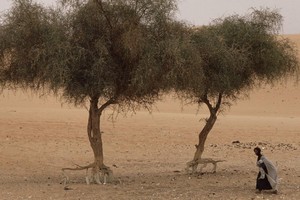 FNDU: les défis majeurs de la Mauritanie selon la coalition de l'opposition