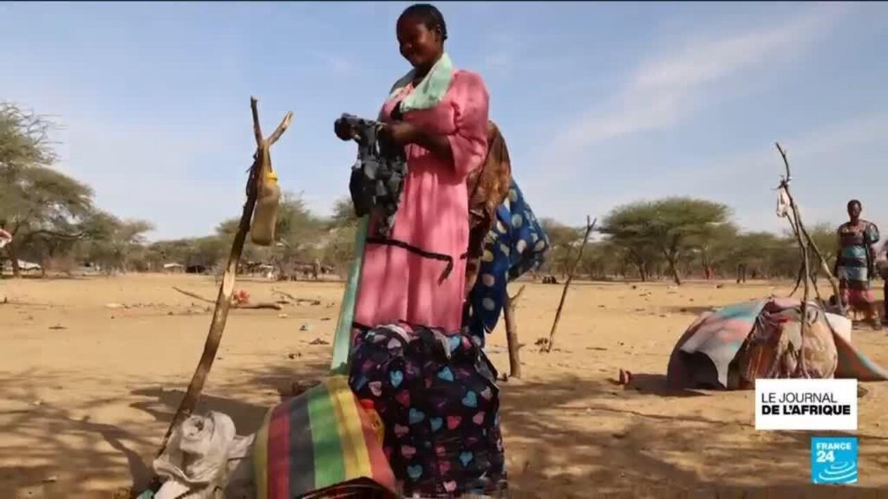 Impact de la dégradation sécuritaire au Mali sur les zones frontalières : Mauritanie - Sénégal - Guinée (GRANIT) (Janvier à juin 2026)