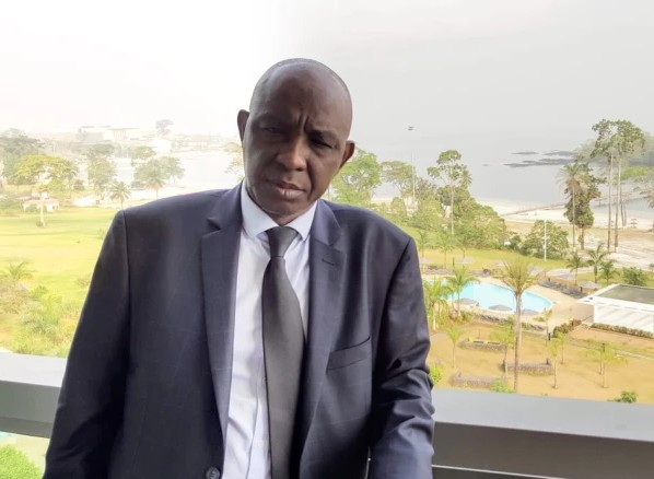 «Citoyen français, Pap Ndiaye a le droit de servir la République». Par Ibrahima Diawadoh N’jim