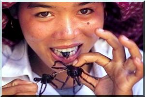 Sécurité alimentaire : du péril acridien aux insectes-aubaine [Videos]