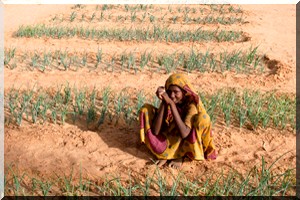 Insécurité alimentaire et malnutrition en Mauritanie (PAM)