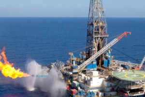 Mauritanie : Kosmos découvre un important champ gazier de 50 billions de pieds cube de gaz 