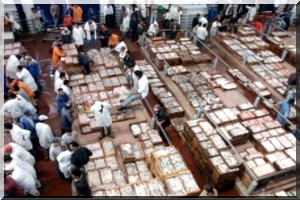 Mauritanie-UE – Accord et désaccords