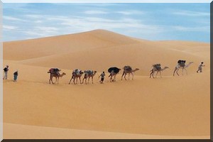 Mauritanie: Point Afrique propose une reprise immédiate de ses activités touristiques