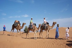 Mauritanie : début de la saison touristique