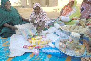 Tekavoul, un programme qui a changé la vie de plus d’un millier de femmes à Sélibaby