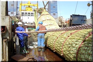 L'UE et la Mauritanie parviennent à un nouvel accord dans le domaine de la pêche