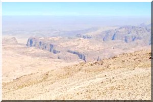  Mauritanie : huit morts de fièvre de la vallée du Rift (nouveau bilan)